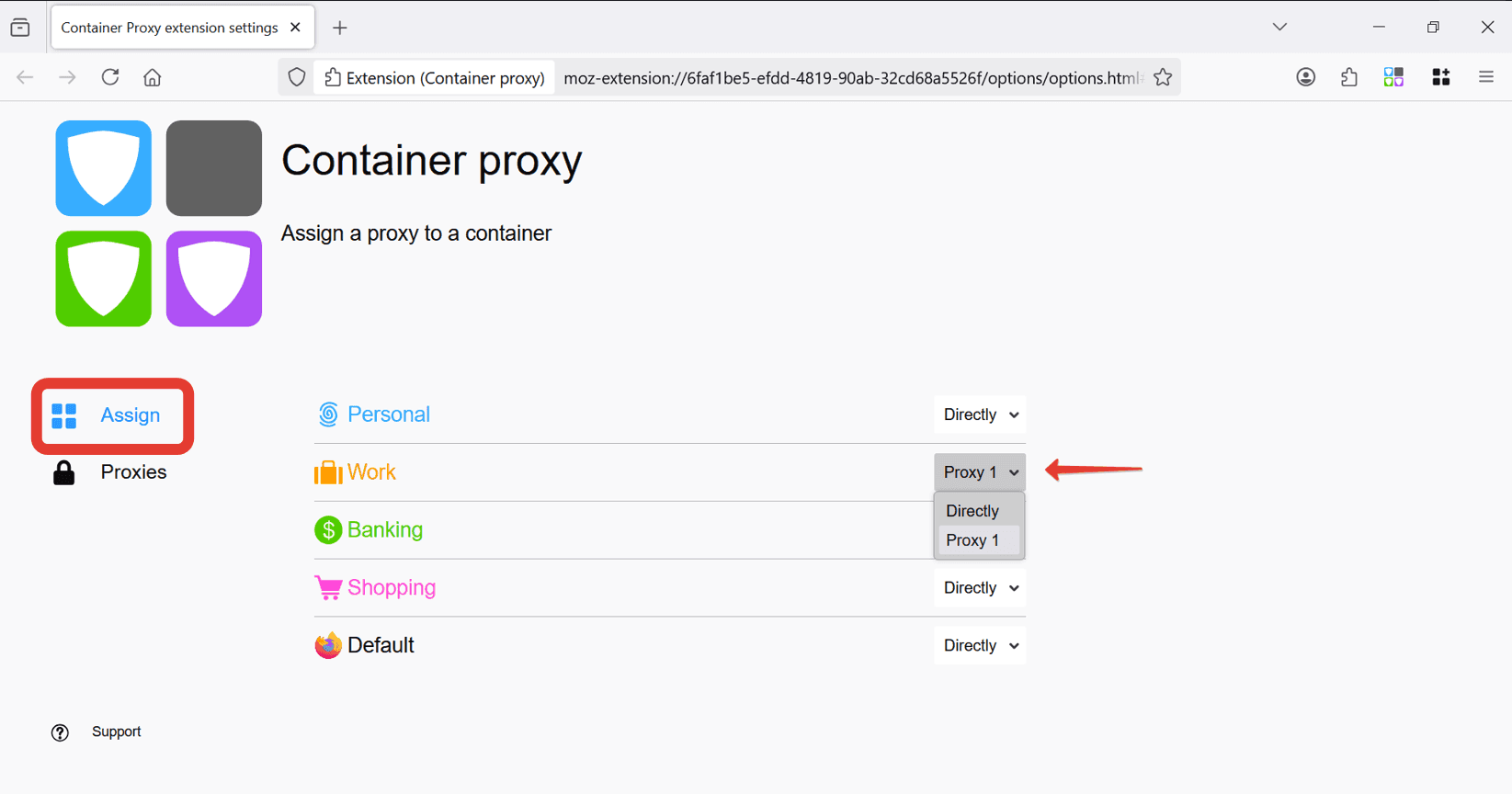 4. Container proxy Assign.png